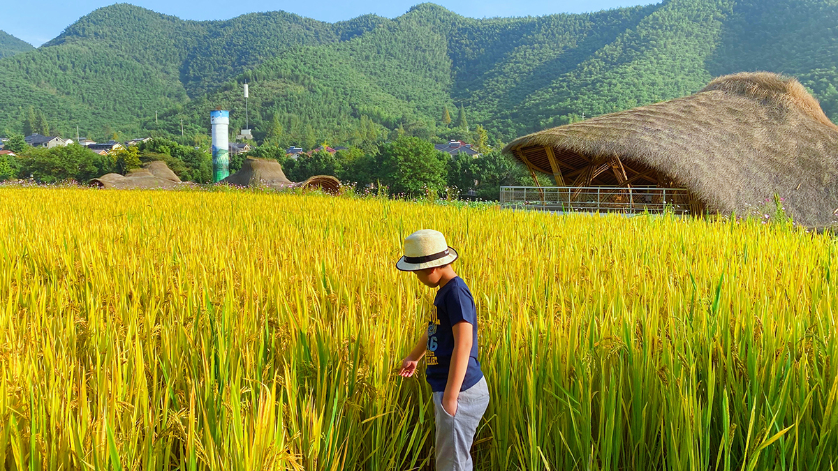 图虫创意-1047800444936650793 图虫创意-1047800444936650793